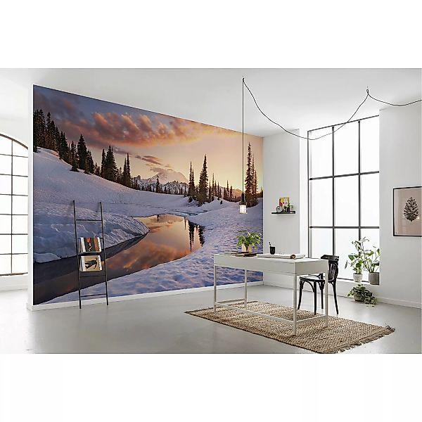 KOMAR Vlies Fototapete - America the Beautiful - Größe 450 x 280 cm mehrfar günstig online kaufen