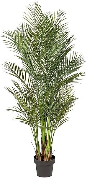 Creativ green Kunstpalme »Arecapalme« günstig online kaufen