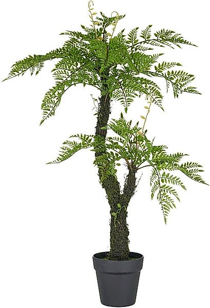 Kunstpflanze Baumfarn, Creativ green, Höhe 80 cm, an Moosstamm günstig online kaufen