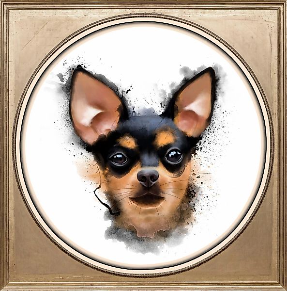 queence Acrylglasbild "Chihuahua", Kunst-Gemälde-Tiere-Hund-Hunde-Hundebild günstig online kaufen