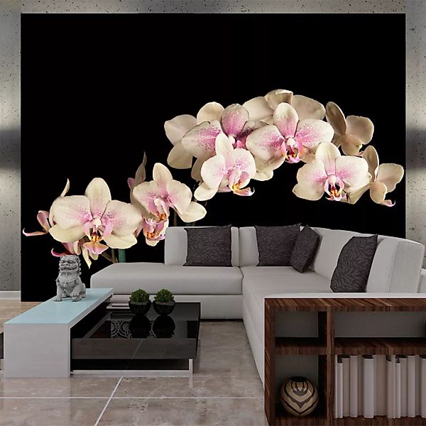 Fototapete - Blühende Orchideen Auf Dunklem Hintergrund günstig online kaufen