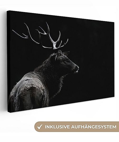 OneMillionCanvasses® Leinwandbild Hirsch - Schwarz - Porträt - Geweih - Tie günstig online kaufen