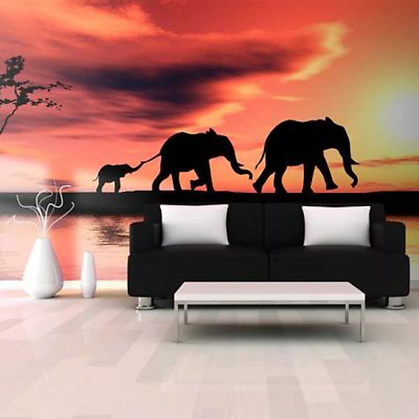 artgeist Fototapete Elefanten: Familie mehrfarbig Gr. 550 x 270 günstig online kaufen