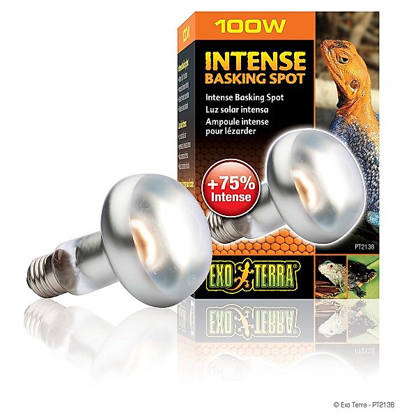 Exo Terra Terrarienleuchte Intense Basking Spot günstig online kaufen