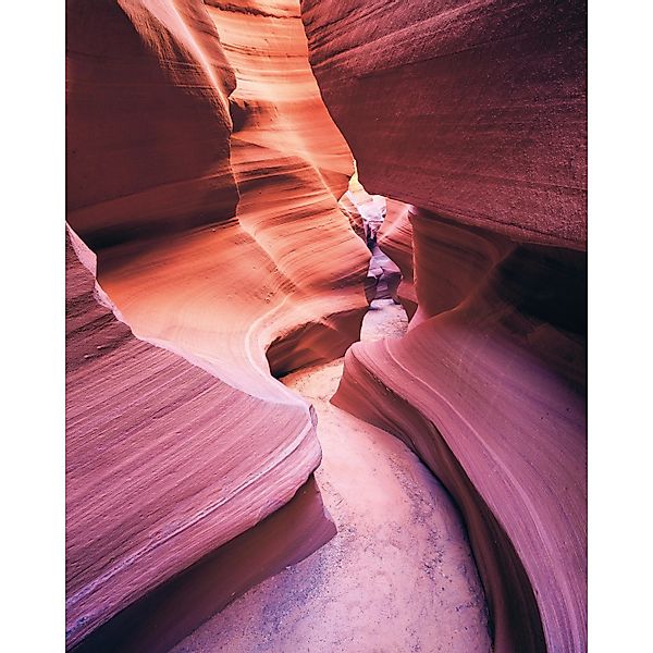 Komar Fototapete Vlies Lost in Color  200 x 250 cm günstig online kaufen