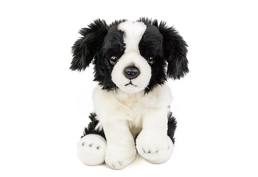Teddys Rothenburg Kuscheltier Hund Border Collie 30 cm sitzend schwarz/weiß günstig online kaufen