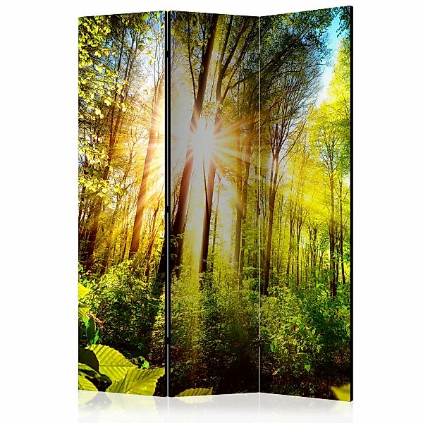 3-teiliges Paravent - Forest Hideout [room Dividers] günstig online kaufen