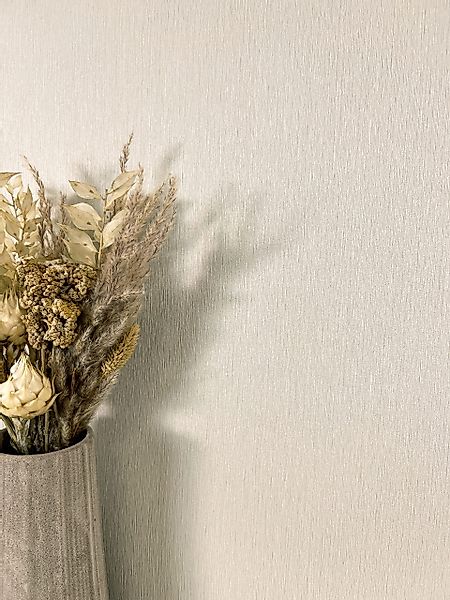 Newroom Vliestapete, Taupe Tapete Modern Unifarbe günstig online kaufen
