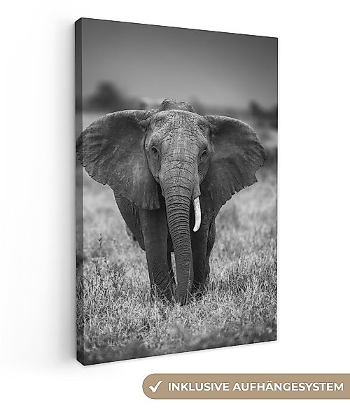 OneMillionCanvasses® Leinwandbild Elefant - Tiere - günstig online kaufen