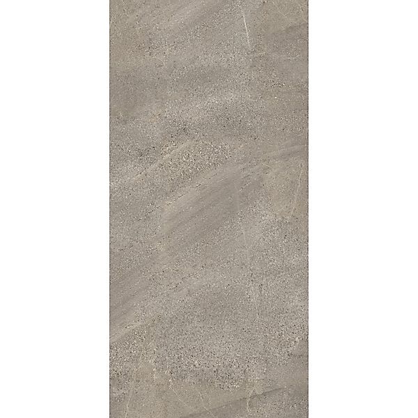 Schulte Duschrückwand DecoDesign Dekor Sandstein-Braun 210 x 100 cm günstig online kaufen