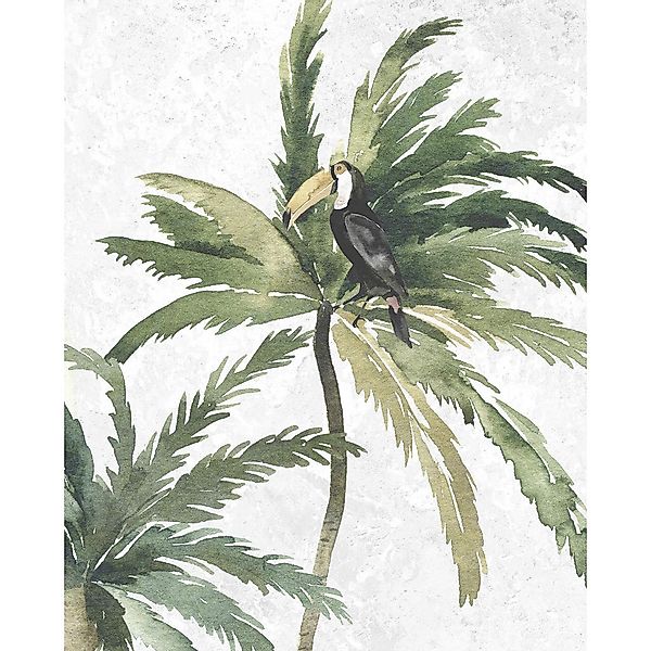 Komar Wandbild Tropical Toucan günstig online kaufen