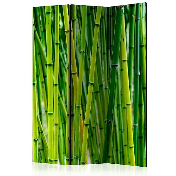 3-teiliges Paravent - Bamboo Forest [room Dividers] günstig online kaufen