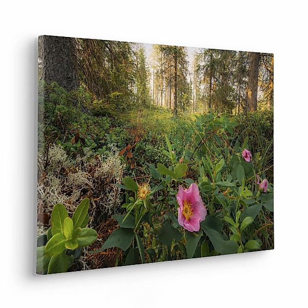 Komar Leinwandbild "Charming Woods - Größe 60 x 40 cm", Baum-Blätter-Natur- günstig online kaufen