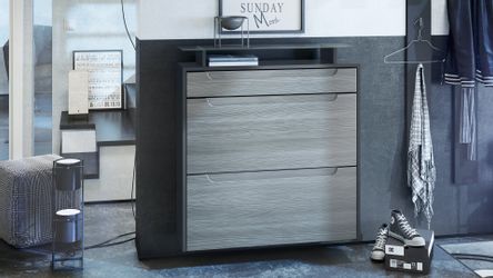 Vladon Schuhschrank Annie (Schuhkipper für 16 günstig online kaufen