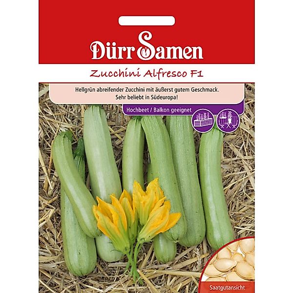 Dürr Samen Zucchini Alfresco F1 Saatgut günstig online kaufen