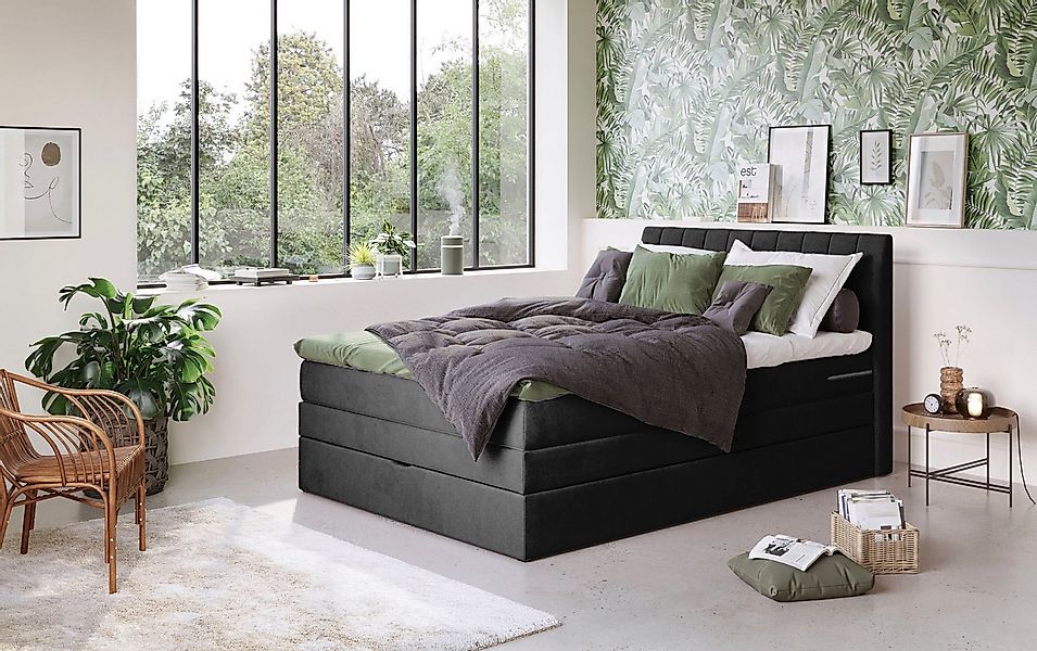 COTTA Boxspringbett Shark inkl. Bettkasten und Topper, erhältlich in den Br günstig online kaufen