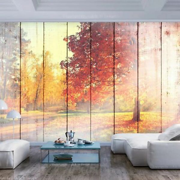 artgeist Fototapete Autumn Sun mehrfarbig Gr. 200 x 140 günstig online kaufen