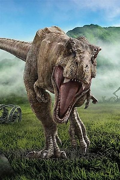 Wohndecke Jurassic World Fleecedecke Schmusedecke  100x150cm, Aptex günstig online kaufen