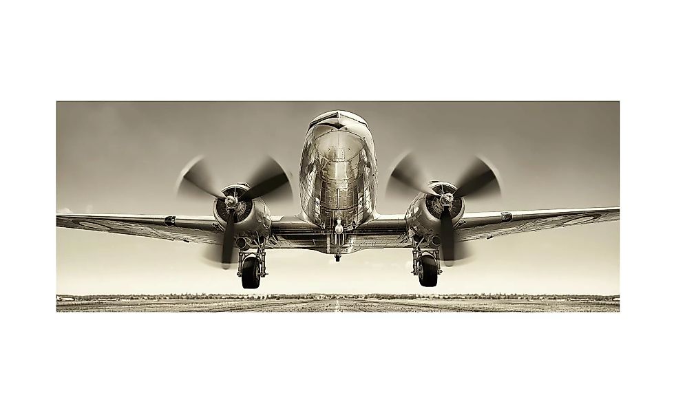 Glasbild 80x30 cm  Plane III - 80 cm - 30 cm - Sconto günstig online kaufen