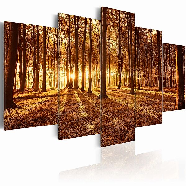 Wandbild - Amber forest günstig online kaufen