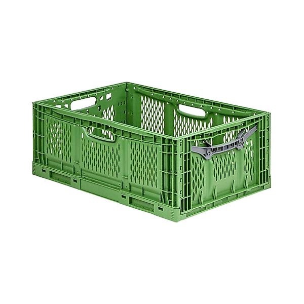 PROREGAL Stabile Profi-Klappbox Chameleon in Industriequalität HxBxT 23 x 4 günstig online kaufen