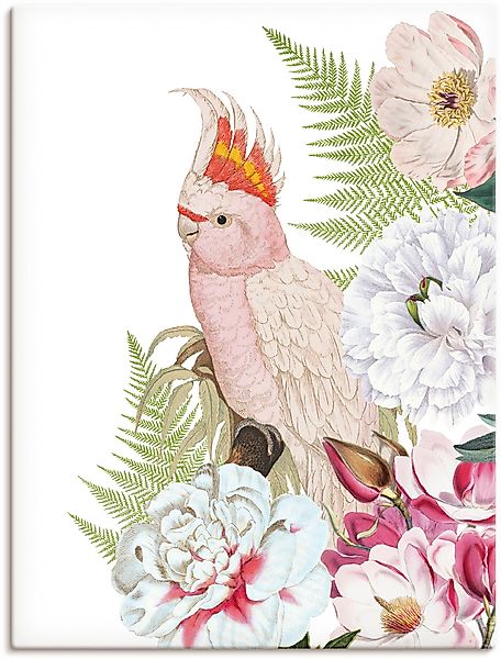 Artland Wandbild »Vintage Papagei II«, Vogelbilder, (1 St.), als Leinwandbi günstig online kaufen