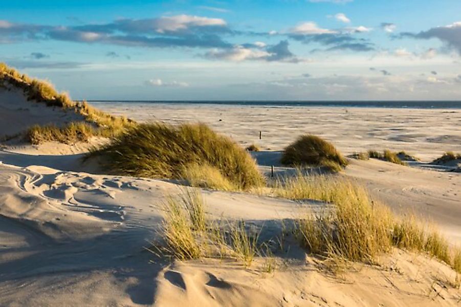 Papermoon Fototapete »DÜNEN-AMRUM NORDSEE STRAND MEER INSEL HOLSTEIN GRAS X günstig online kaufen