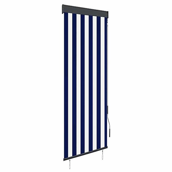 Rollo Außenrollo 60 x 250 cm günstig online kaufen