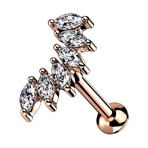 Taffstyle Piercing-Set Tragus Labret Piercing Stecker günstig online kaufen