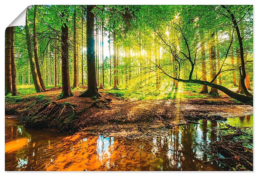 Artland Wandbild "Wald mit Bach" Wald 1 Stk. tlg. als Alubild, Leinwandbild günstig online kaufen