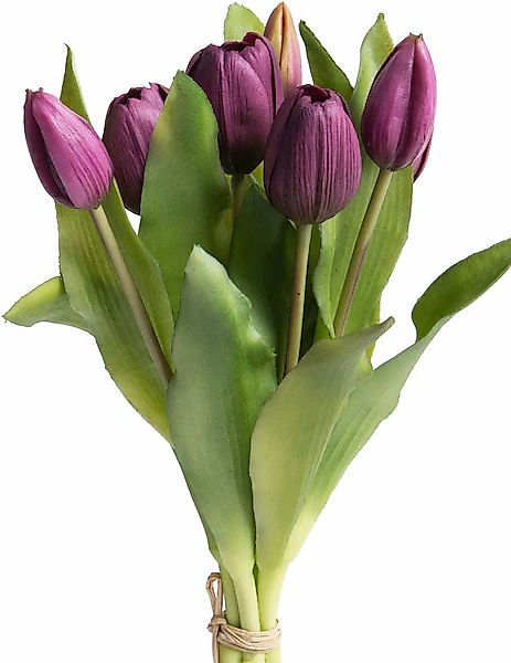 Botanic-Haus Kunstblume »Willa« Tulpenbündel im 7er-Set günstig online kaufen