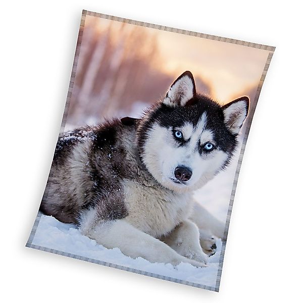 Wohndecke Hunde Dogs Fleecedecke Kuscheldecke 150 günstig online kaufen