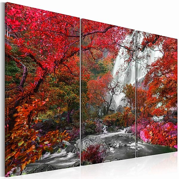 Wandbild - Beautiful Waterfall: Autumnal Forest günstig online kaufen