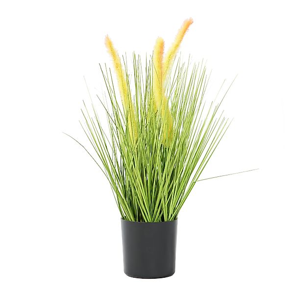Kunstpflanze Künstliches Gras, Deko, Kunstpflanze, Pampasgras, günstig online kaufen