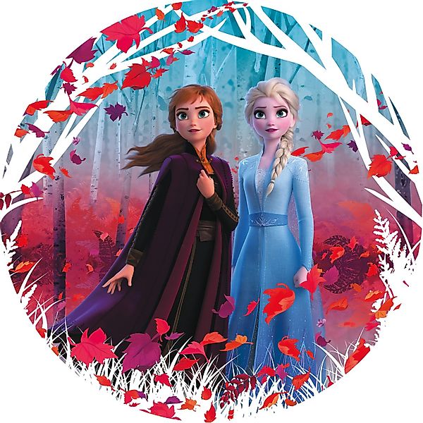 Komar Selbstklebende Fototapete Vlies Frozen 2 Winter is coming 125 x 125 c günstig online kaufen
