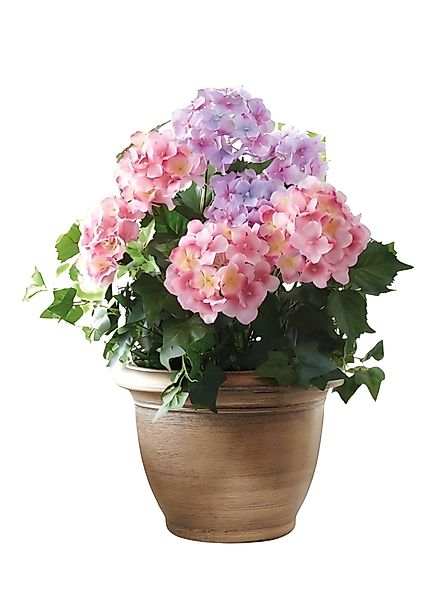 Kunstpflanze "Hortensie" im goldenen Topf, Dekopflanze, günstig online kaufen