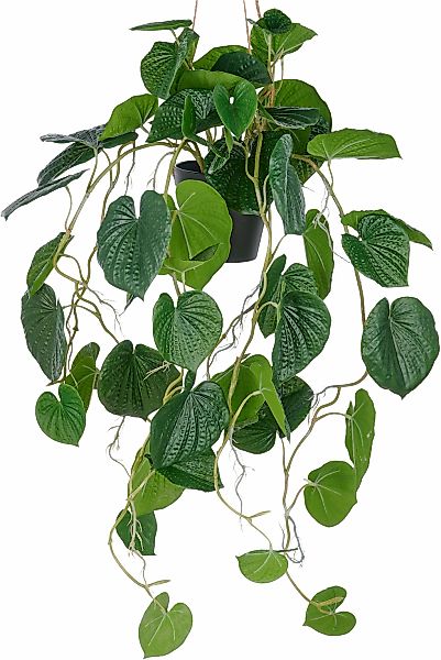 Creativ green Kunstpflanze "Hängende Peperomia caperata", mit üppigen Ranke günstig online kaufen
