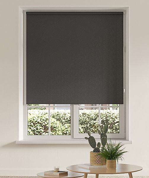 Seitenzugrollo THEMSE, my home, abdunkelnd, ohne günstig online kaufen