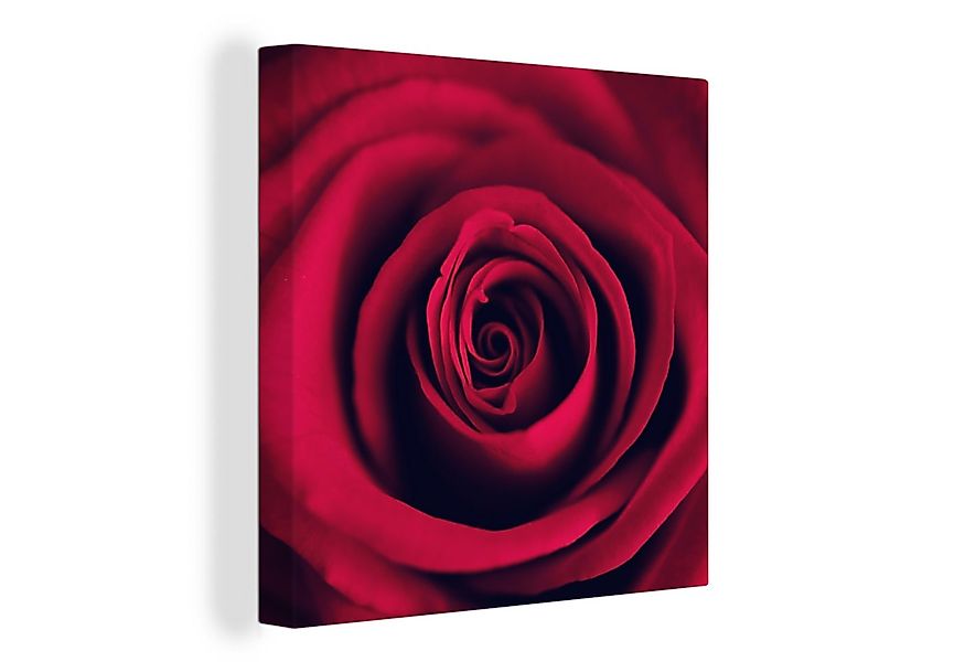 OneMillionCanvasses® Leinwandbild Rosen - Rot - Blumen, Fotodruck (1 St), W günstig online kaufen