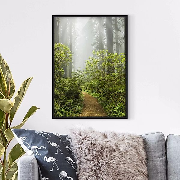 Bild mit Rahmen Natur & Landschaft - Hochformat Nebliger Waldpfad günstig online kaufen