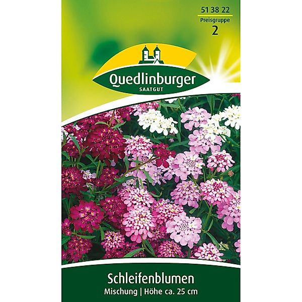 Quedlinburger Schleifenblume ''Mischung'' günstig online kaufen
