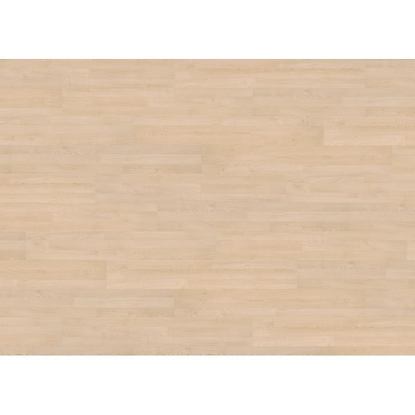 Living by Haro Laminat 7 mm Ahorn günstig online kaufen