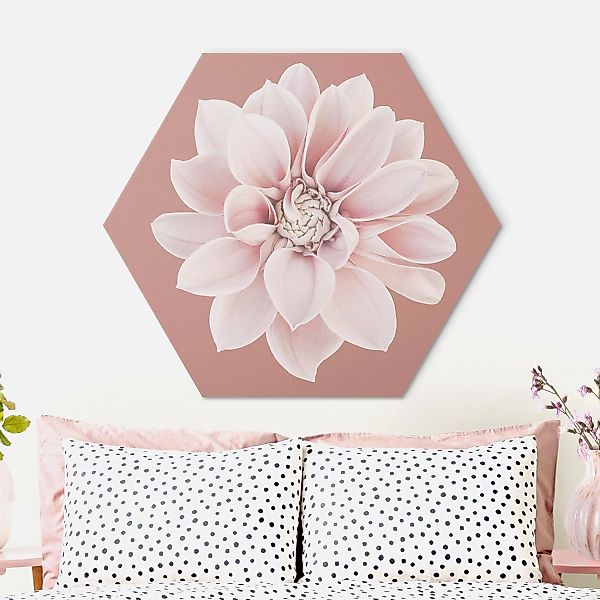 Hexagon-Alu-Dibond Bild Dahlie Beigerot Rosa günstig online kaufen