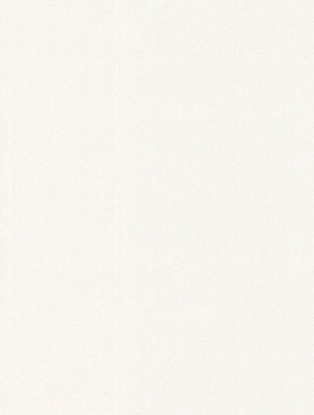 WOW Papiertapete "Speckles" uni geprägt Weiß - 10m x 52cm günstig online kaufen