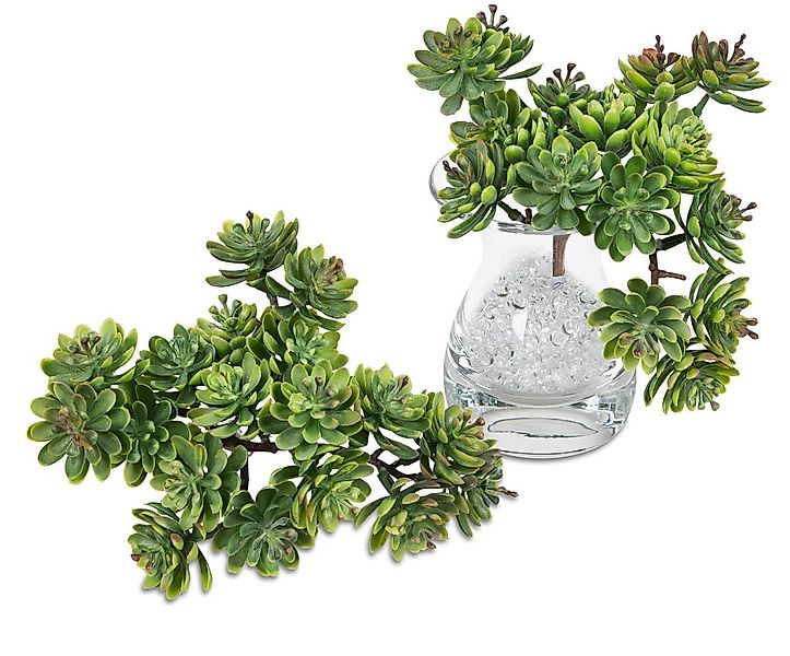 Kunstblume, formano, Höhe 12 cm günstig online kaufen