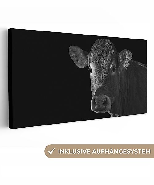 OneMillionCanvasses® Leinwandbild Panorama Kuh - Tiere günstig online kaufen