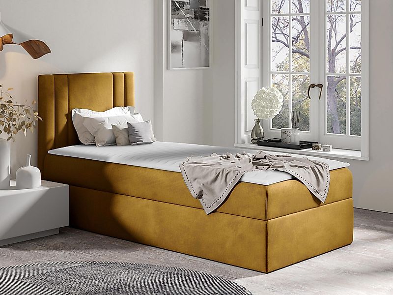 MIRJAN24 Boxspringbett Carmen Mini (mit Hauptmatratze, günstig online kaufen