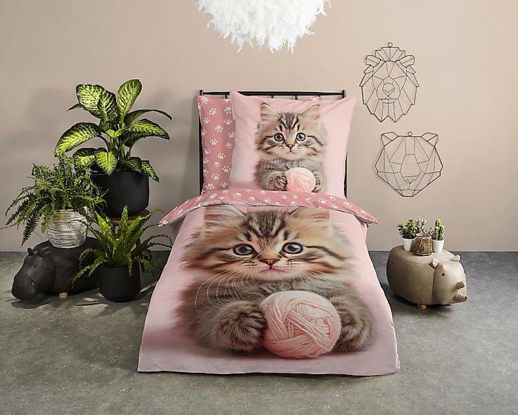 good morning Kinderbettwäsche "Chat" 2 Stk. Baumwolle, Renforcé, Wendeoptik günstig online kaufen