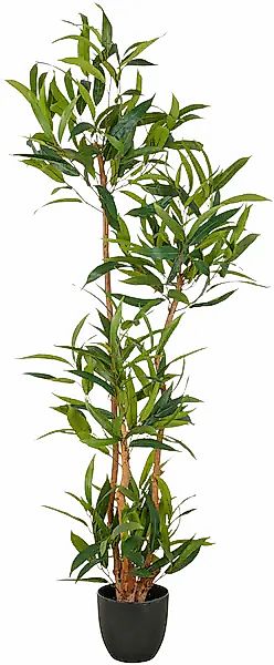 Creativ green Kunstbaum »Ficus maclellandii« mit echtem Holzstamm günstig online kaufen