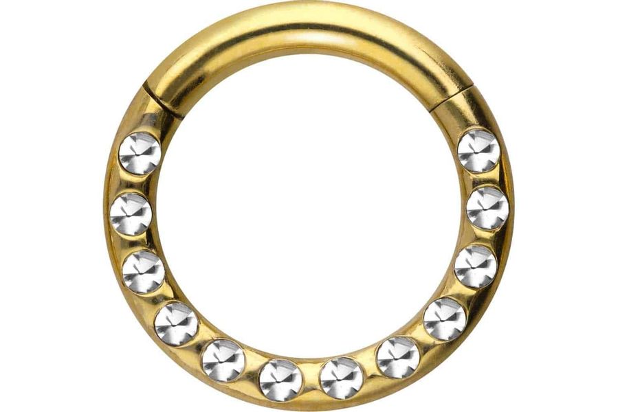 PIERCINGLINE Nasenpiercing Chirurgenstahl Segmentring Clicker KRISTALLE günstig online kaufen